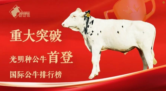 光明乳业半年报：核心指标稳中向好，全链创新构筑行业韧性壁垒