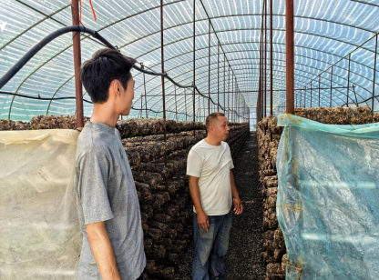 一朵菇的“双城记” 稠州银行“贷”动产业跨域新生