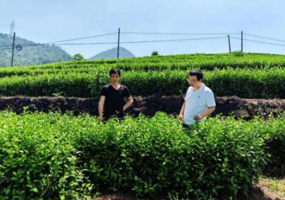 浙江稠州商业银行地方实践（五）十八载润泽处州 与绿水青山同辉