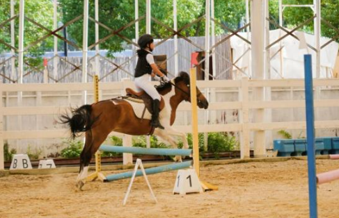 助“燃”体育热 浙江稠州商业银行支持体育产业发展