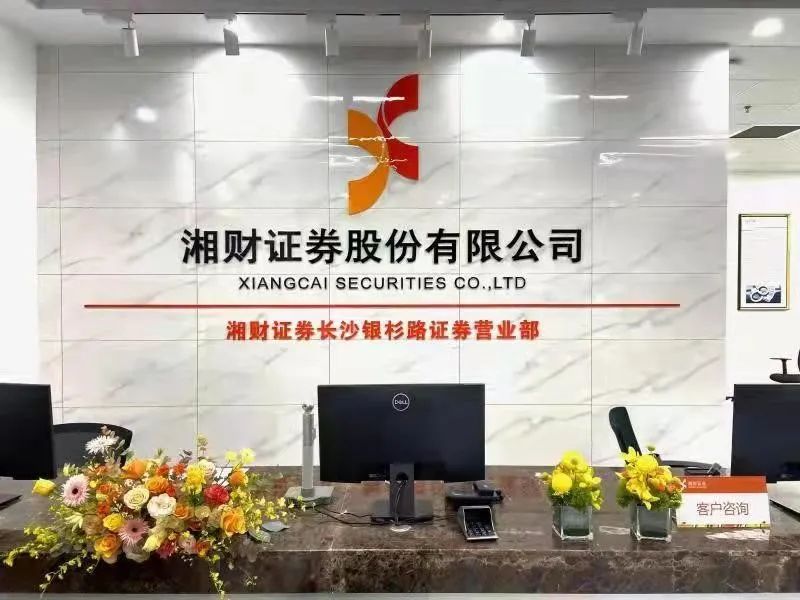 湘财证券logo图片